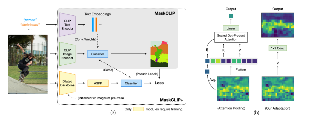 MaskCLIP/MaskCLIP+的流程图